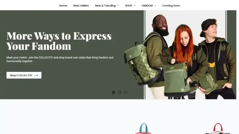 Screenshot of Non-Delivery scam website Topstorevip.shop