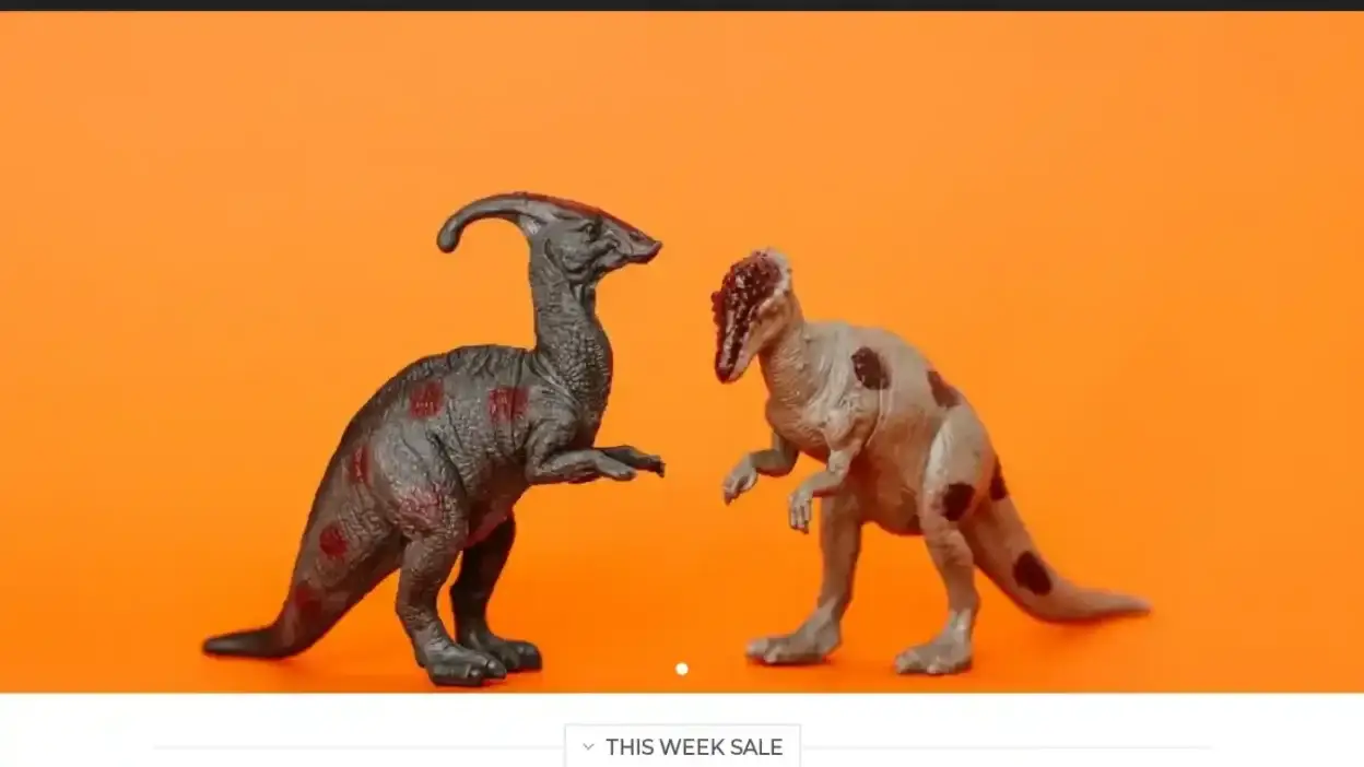 Screenshot of Non-Delivery scam website Toyslandus.com