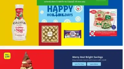 Screenshot of Non-Delivery scam website Toyslidleit.shop