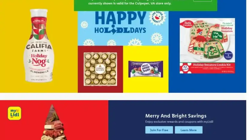 Screenshot of Non-Delivery scam website Toyslidleit.shop