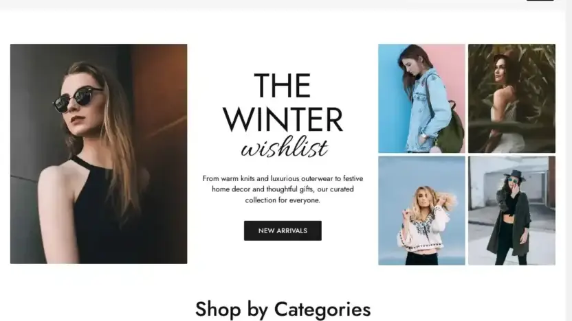 Screenshot of Non-Delivery scam website Trendywear.top