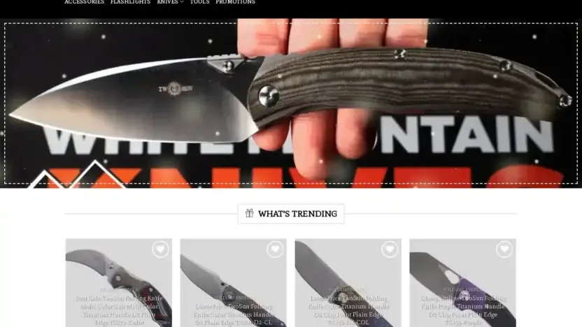 Screenshot of Sport scam website Twosun-knives.com