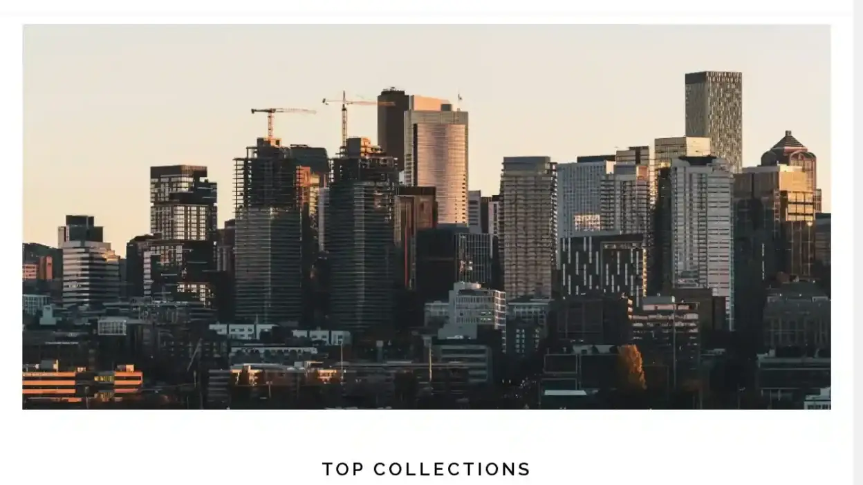 Screenshot of Non-Delivery scam website Usampsale.com