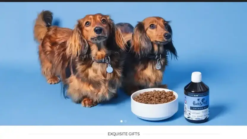 Screenshot of Non-Delivery scam website Uscatparadise.com