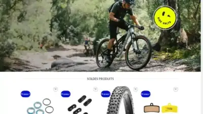 Screenshot of Non-Delivery scam website Veloeconomie.com