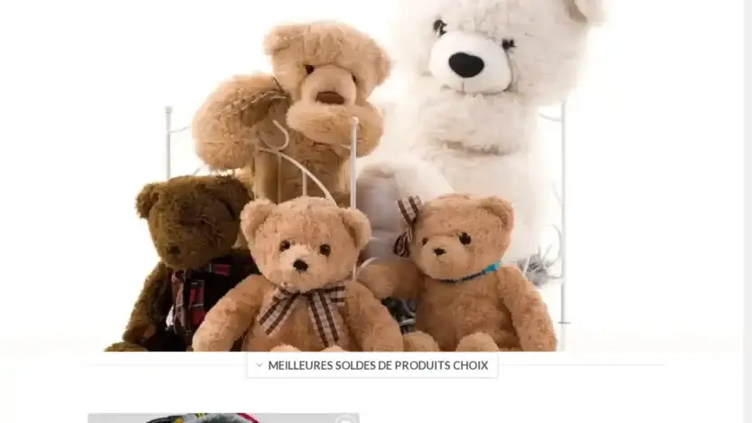 Screenshot of Non-Delivery scam website Ventebambins.com