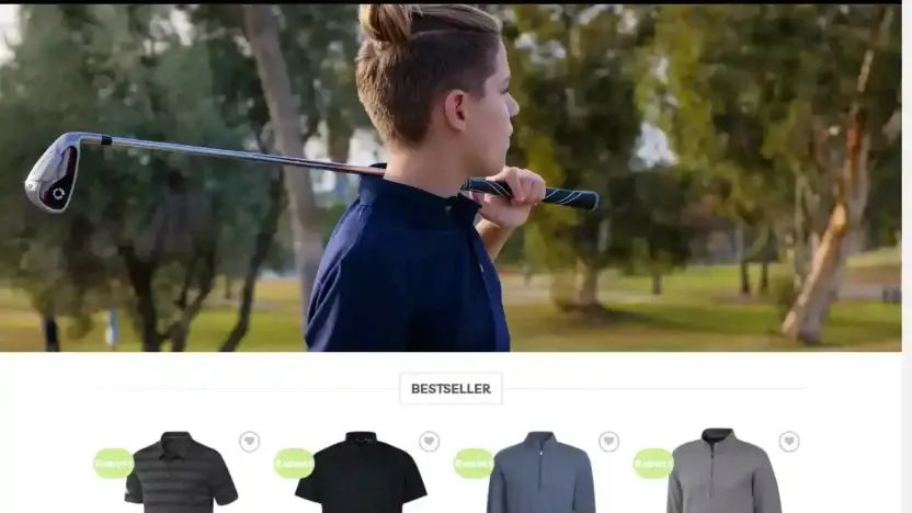 Screenshot of Non-Delivery scam website Verkaufgolf.com