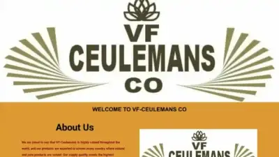 Screenshot of Non-Delivery scam website Vf-ceulemans.co