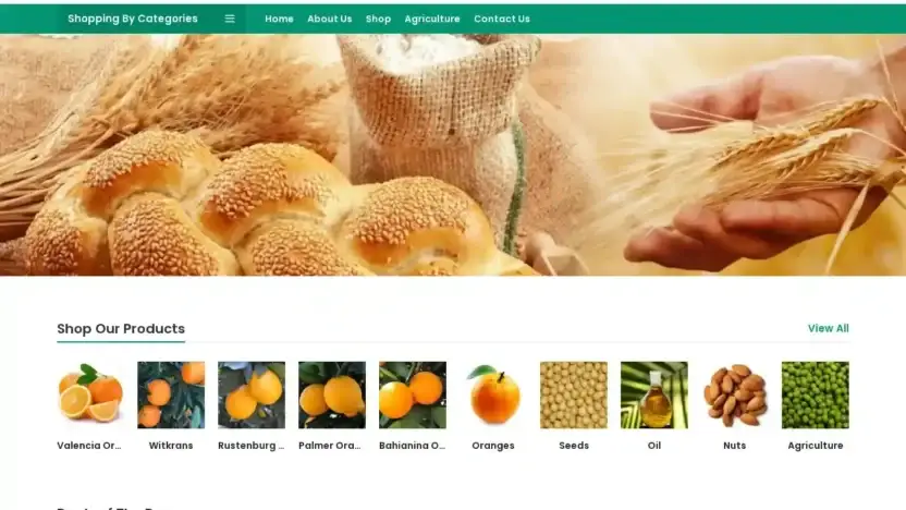 Screenshot of Non-Delivery scam website Vhmwholesale.com