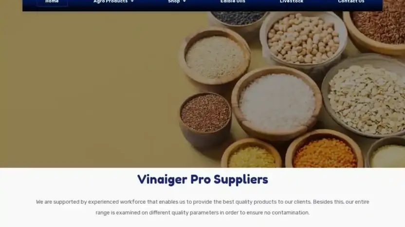 Screenshot of Non-Delivery scam website Vinaigerprosuppliers.com