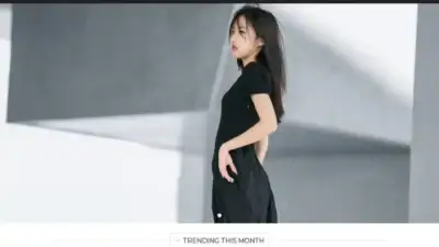 Screenshot of Fashion scam website Vintageanonyme.com