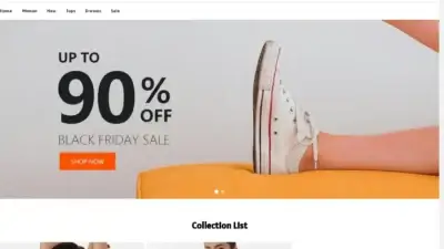 Screenshot of Non-Delivery scam website Vipvipfanka.shop