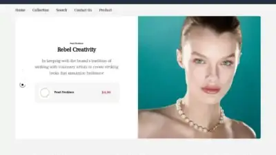 Screenshot of Non-Delivery scam website Vision-capitalvip.com