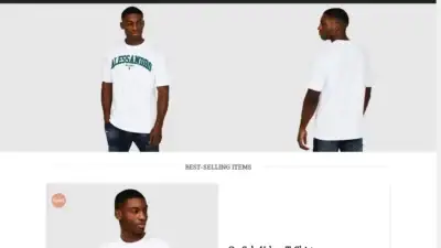 Screenshot of Non-Delivery scam website Voguestorenew.com