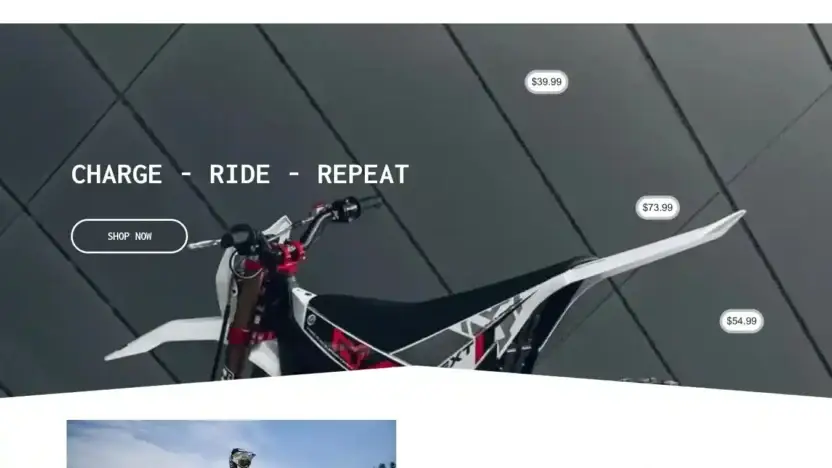 Screenshot of Non-Delivery scam website Voltbikeworld.com