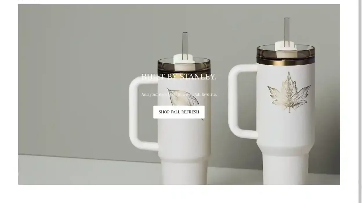 Screenshot of Non-Delivery scam website Waterbottlesvip.shop