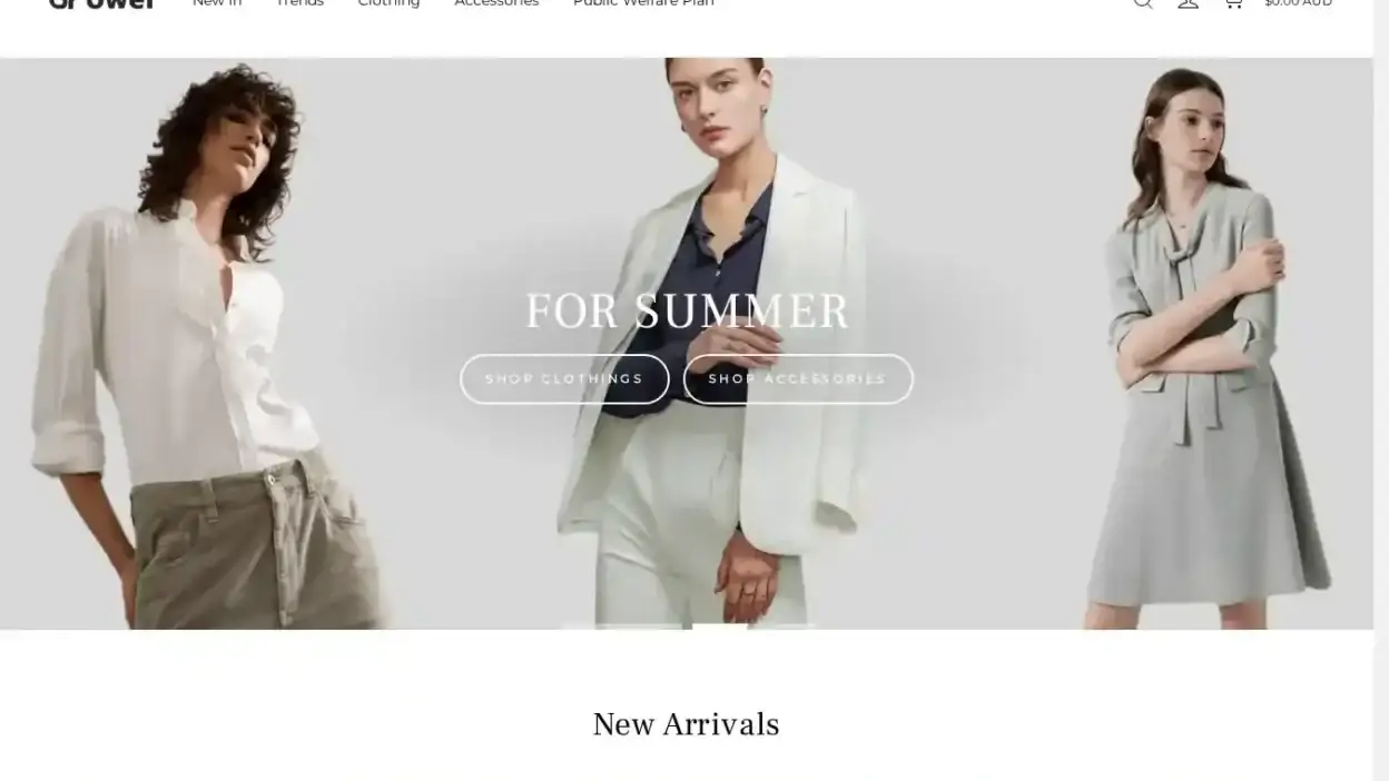 Screenshot of Non-Delivery scam website Waterdsq.com