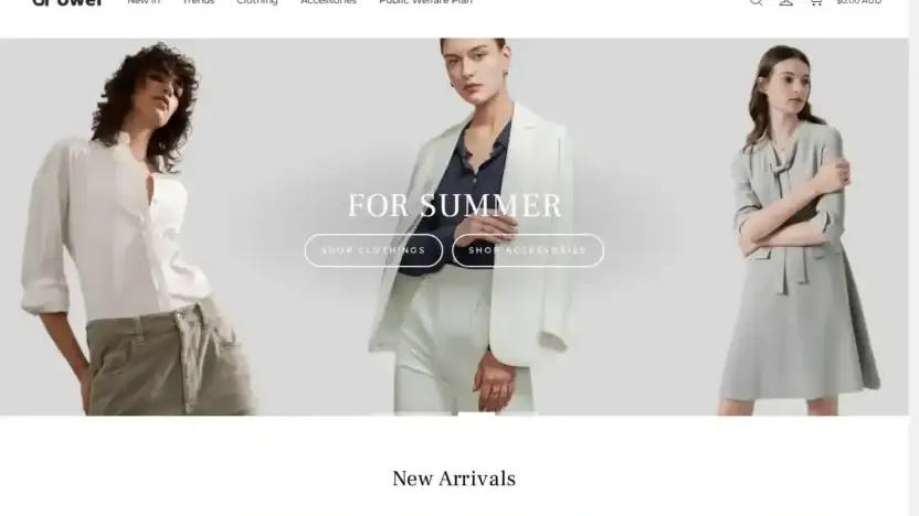 Screenshot of Non-Delivery scam website Waterdsq.com