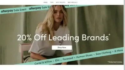 Screenshot of Non-Delivery scam website Wayfairbigdiscouunt.shop