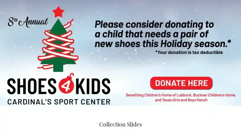 Screenshot of Non-Delivery scam website Wayfairlife-us.shop