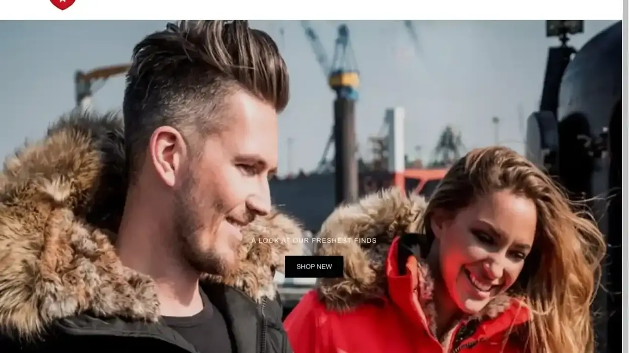 Screenshot of Non-Delivery scam website Wellensteynsvip.shop