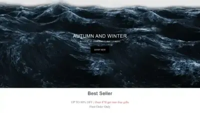 Screenshot of Non-Delivery scam website Wellensteynvip.shop