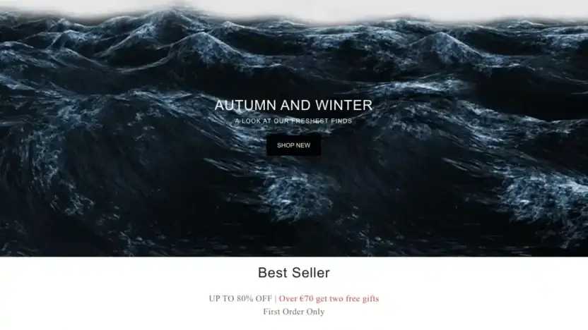 Screenshot of Non-Delivery scam website Wellensteynvip.shop