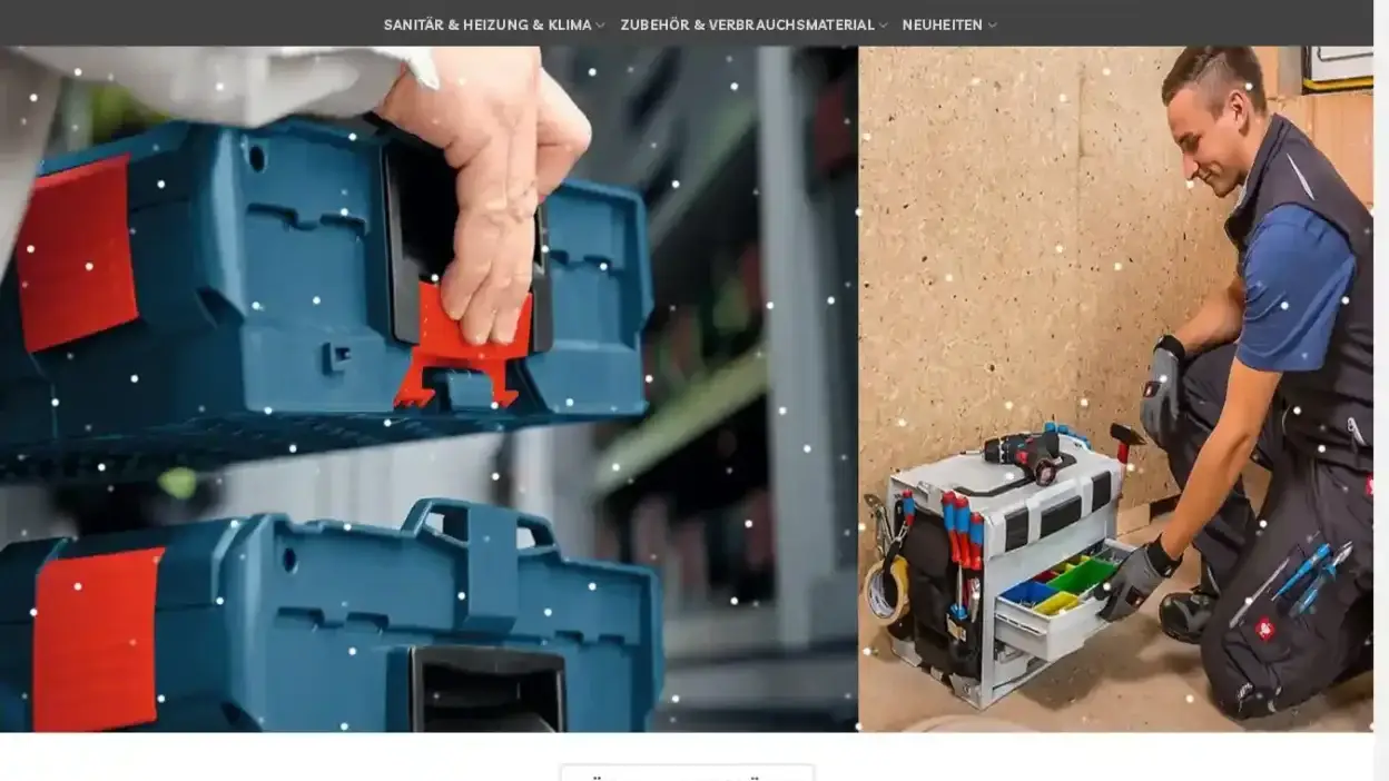 Screenshot of Non-Delivery scam website Werkzeugneue.com