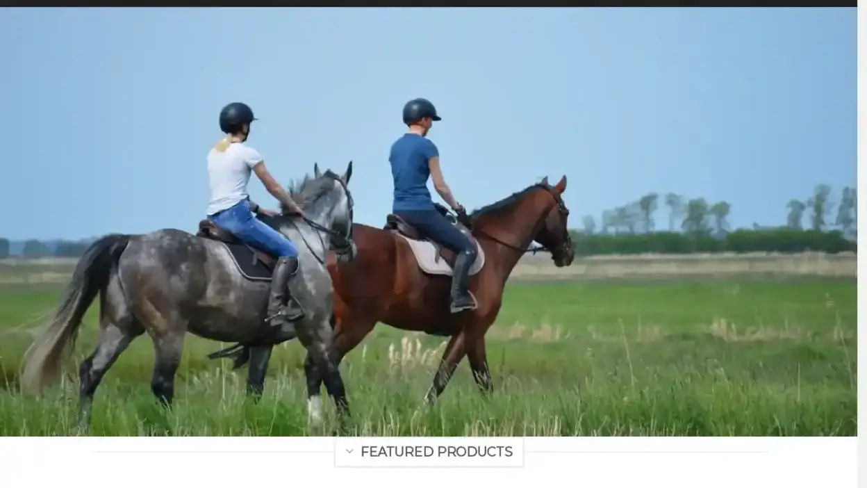 Screenshot of Non-Delivery scam website Westpopular.com