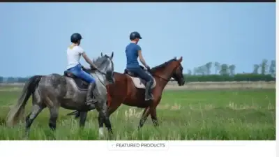 Screenshot of Non-Delivery scam website Westpopular.com