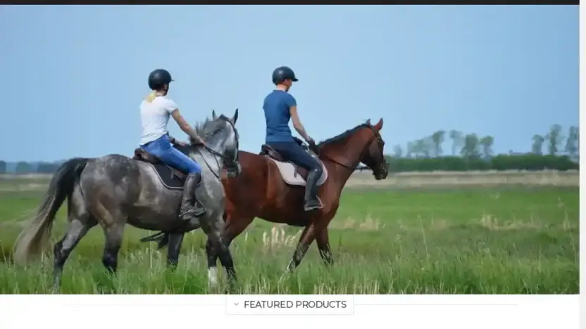 Screenshot of Non-Delivery scam website Westpopular.com