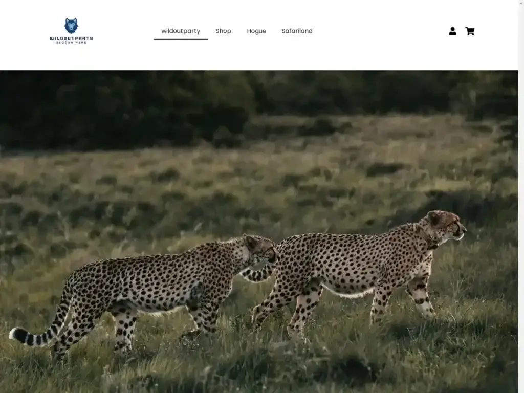 wildoutparty-com Alternative Text