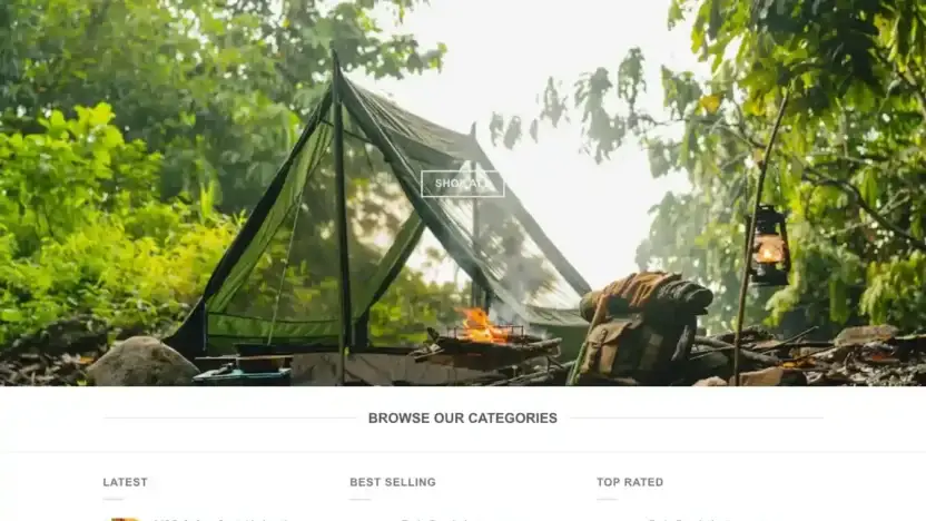 Screenshot of Non-Delivery scam website Willsmithn.com