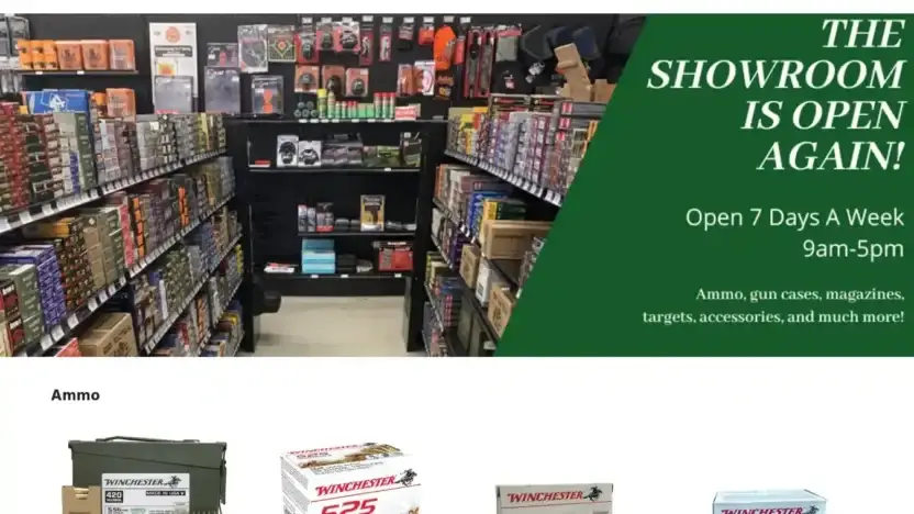 Screenshot of Non-Delivery scam website Winterwin.shop