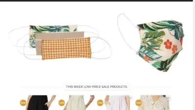 Screenshot of Non-Delivery scam website Womenlostwander.com