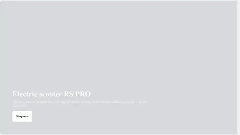 Screenshot of Non-Delivery scam website Wshoo688.com