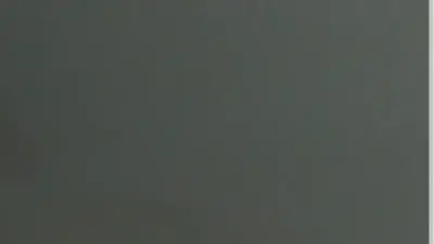 Screenshot of Container scam website Wwscontainer.com