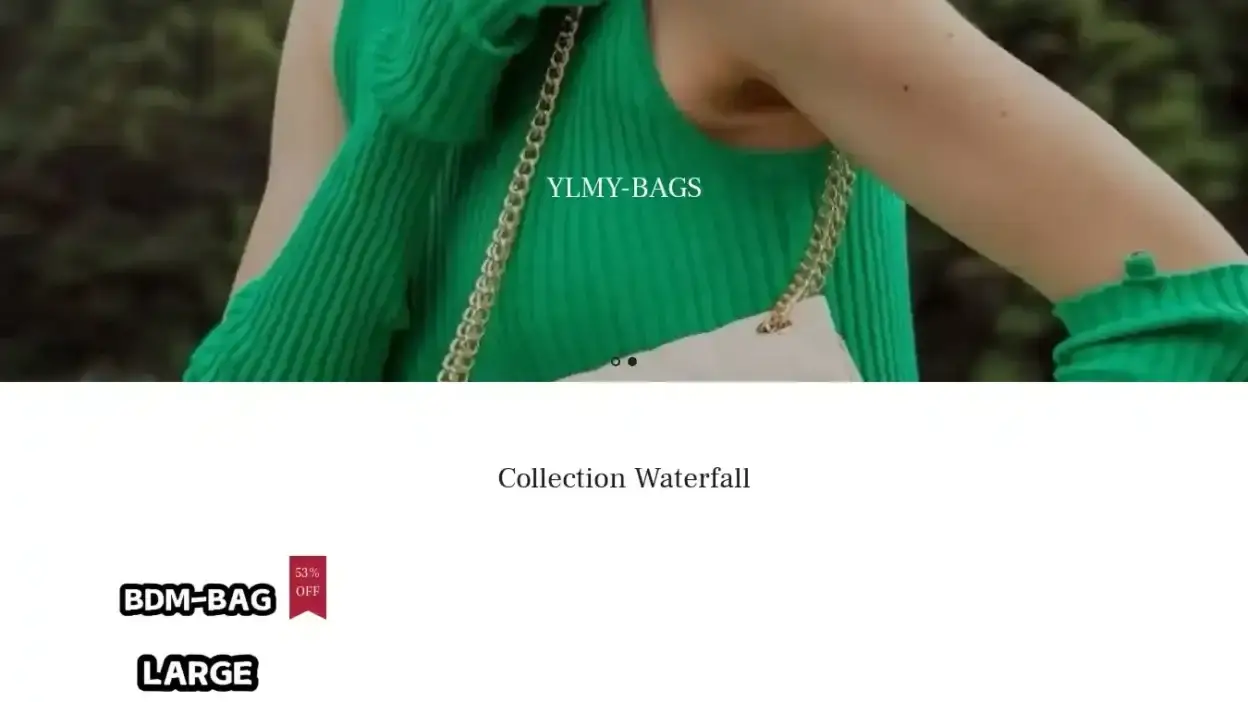 Screenshot of Non-Delivery scam website Ylbag.shop