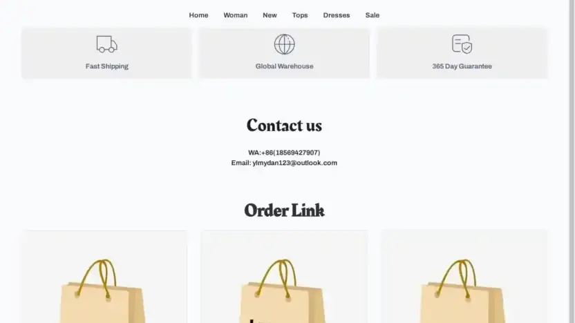 Screenshot of Non-Delivery scam website Ylbag.store