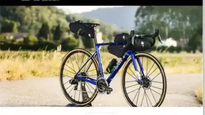 Screenshot of Non-Delivery scam website Zainiofferte.com