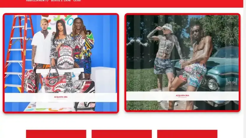 Screenshot of Non-Delivery scam website Zainosconto.com