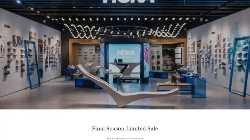 Screenshot of Non-Delivery scam website Zandooutlet.com