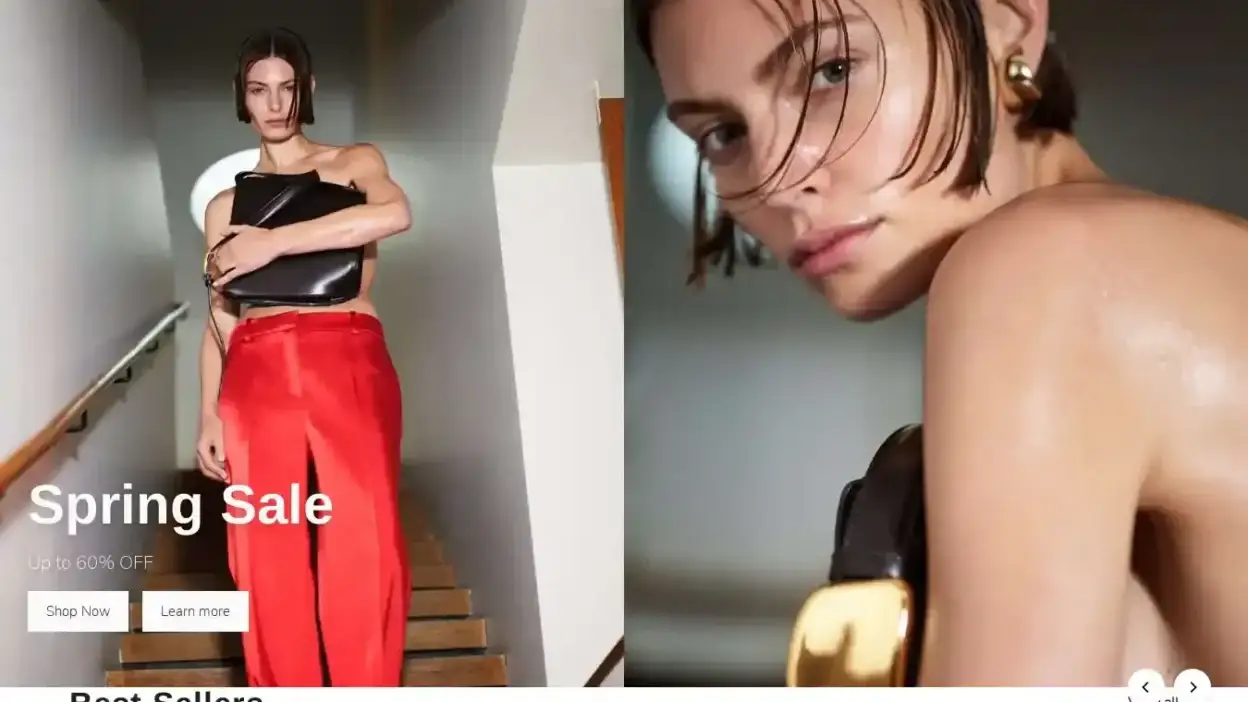 Screenshot of Non-Delivery scam website Zarafree.com