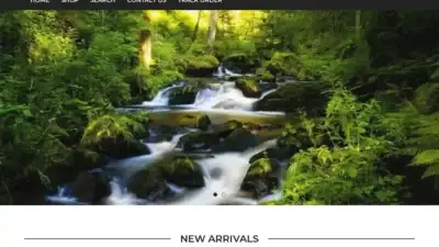 Screenshot of Non-Delivery scam website Zerphyx.com