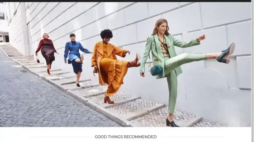 Screenshot of Non-Delivery scam website Zignfashion.com