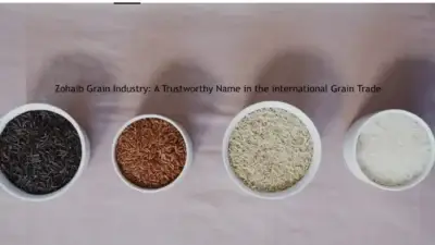 Screenshot of Non-Delivery scam website Zohaibgrainindustry.com