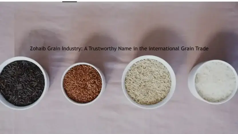 Screenshot of Non-Delivery scam website Zohaibgrainindustry.com