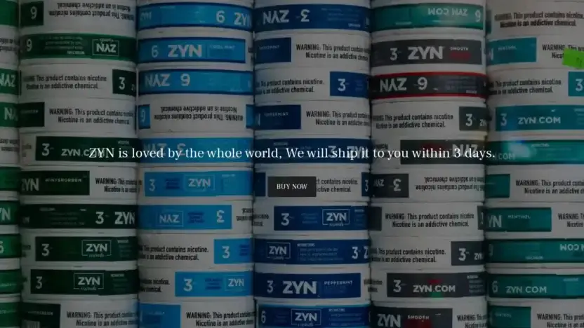 Screenshot of Non-Delivery scam website Zvnikbag.top