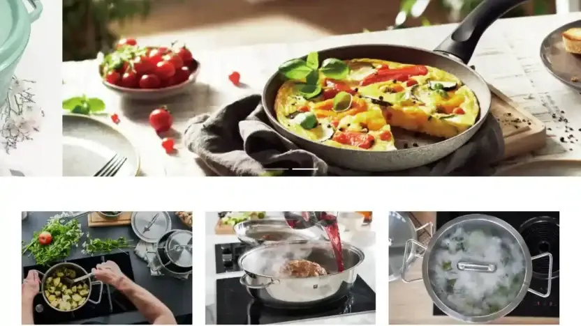 Screenshot of Non-Delivery scam website Zwillingeu.com