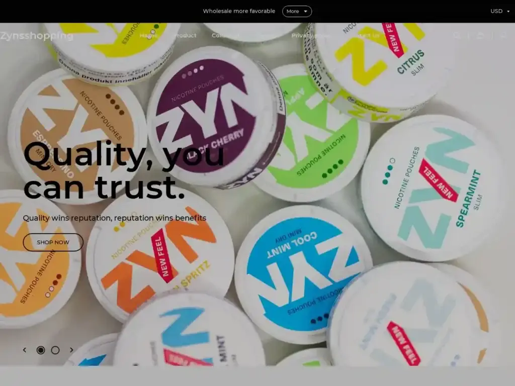 zynsshopping-com Alternative Text